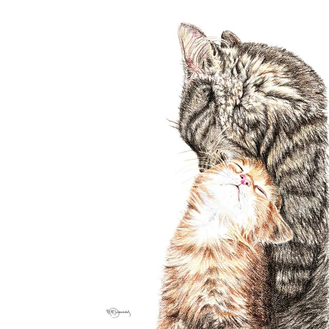 Maman chat avec chaton - carte de vœux