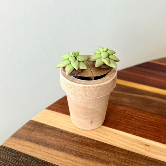 Boucles d'oreilles plante grasse