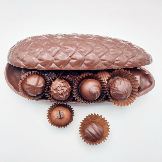 Moyen cône rempli de 12 chocolats