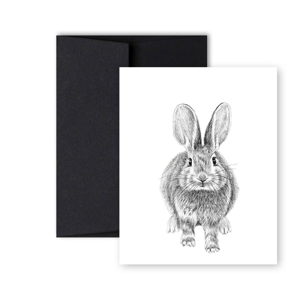 Carte de vœux Lapin avant et arrière