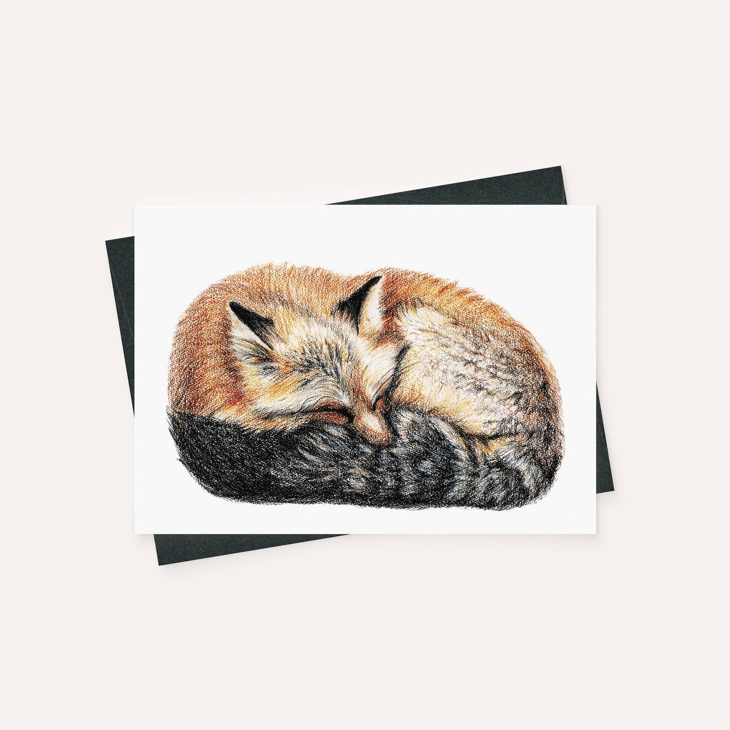 Carte renard couché