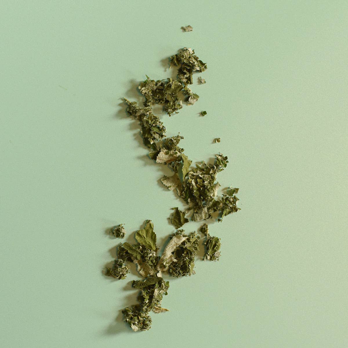 Nordic Herbs - Feuilles de framboisier
