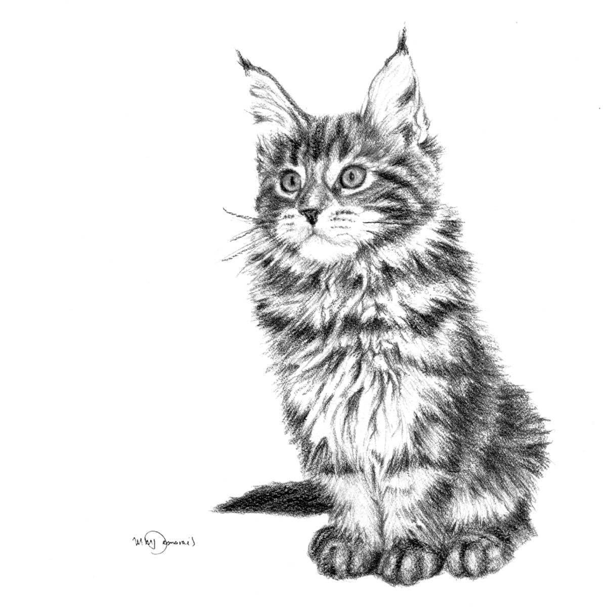 Carte chat adorable