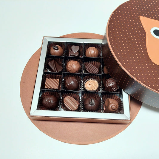 Boîte hibou de 16 chocolats